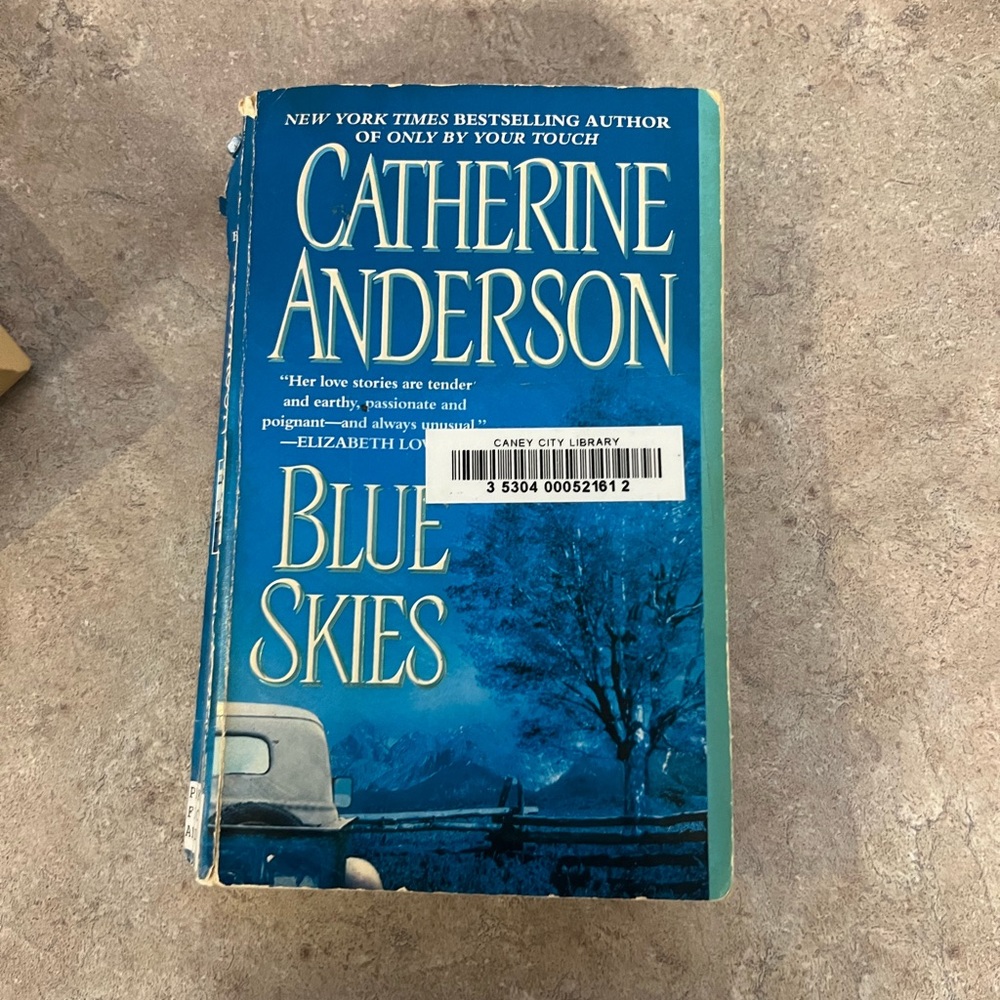 Blue Skies by Catherine Anderson